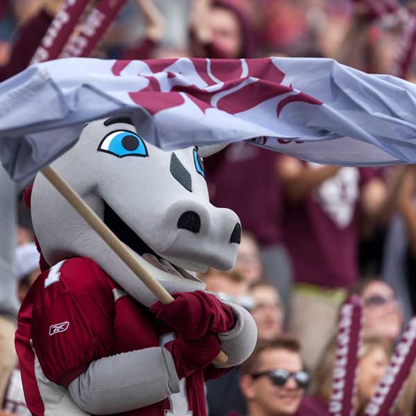 Les Gee-Gees brandissant un drapeau