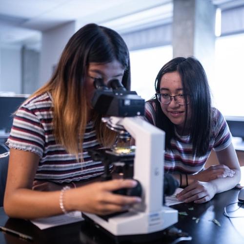 Two teens using a microscope.