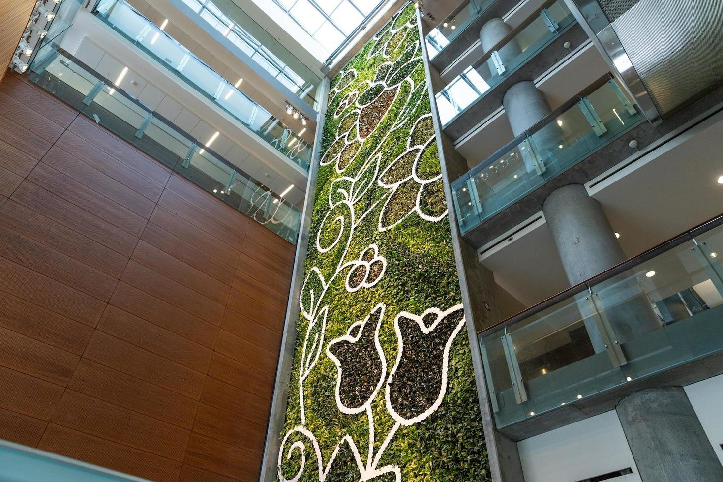 Mur végétal vivant dans un bâtiment du campus.