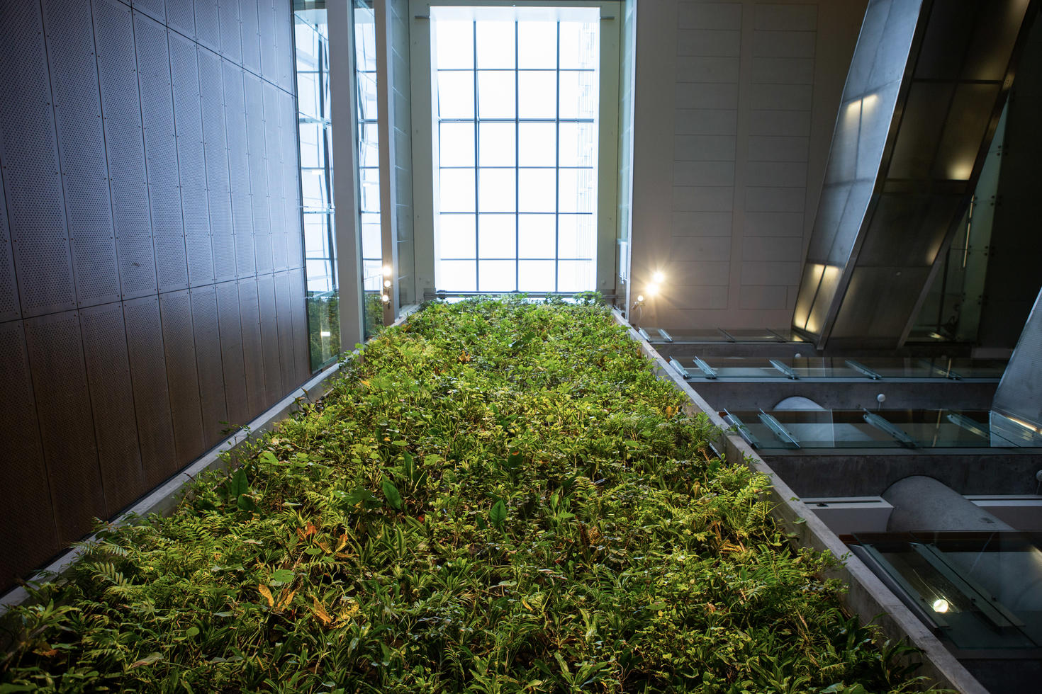Living wall in Social Sciences building