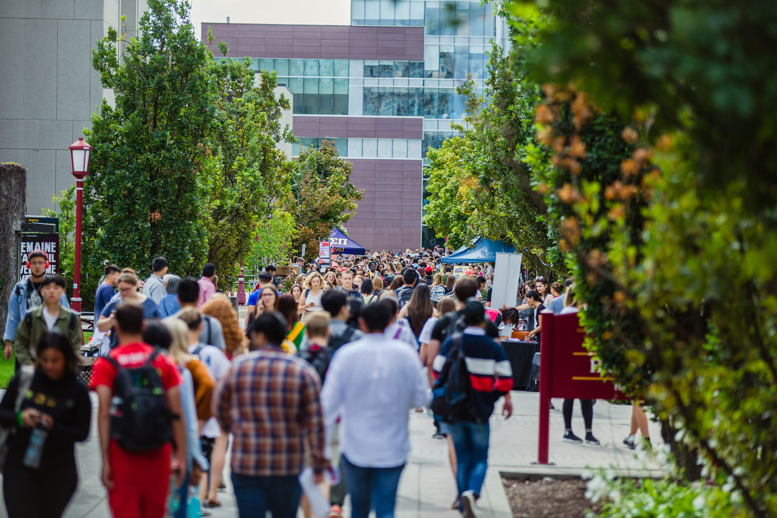 students on campus