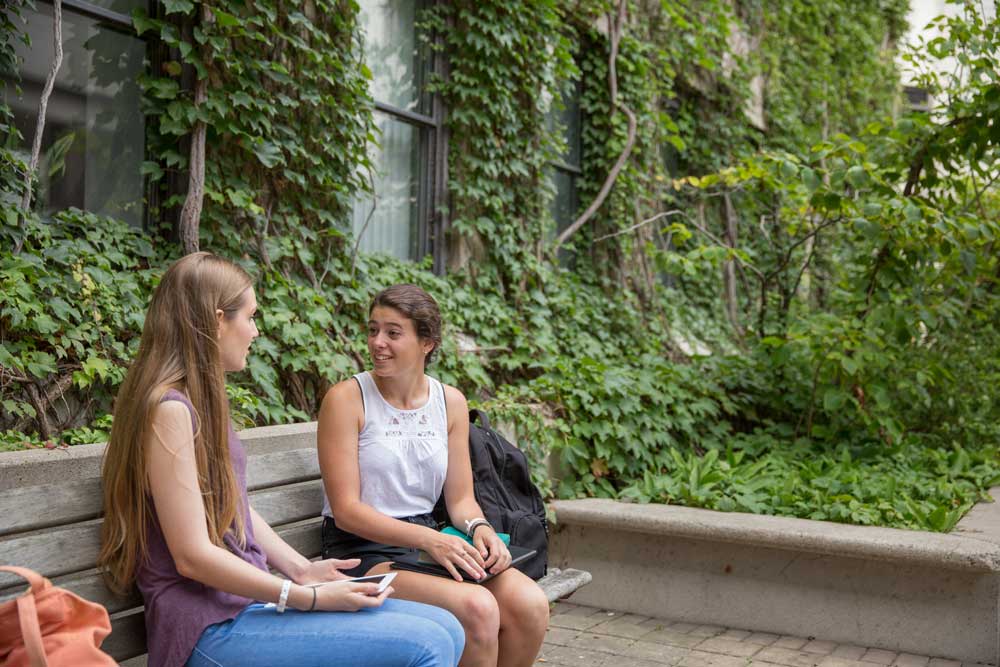students on campus having a conversation