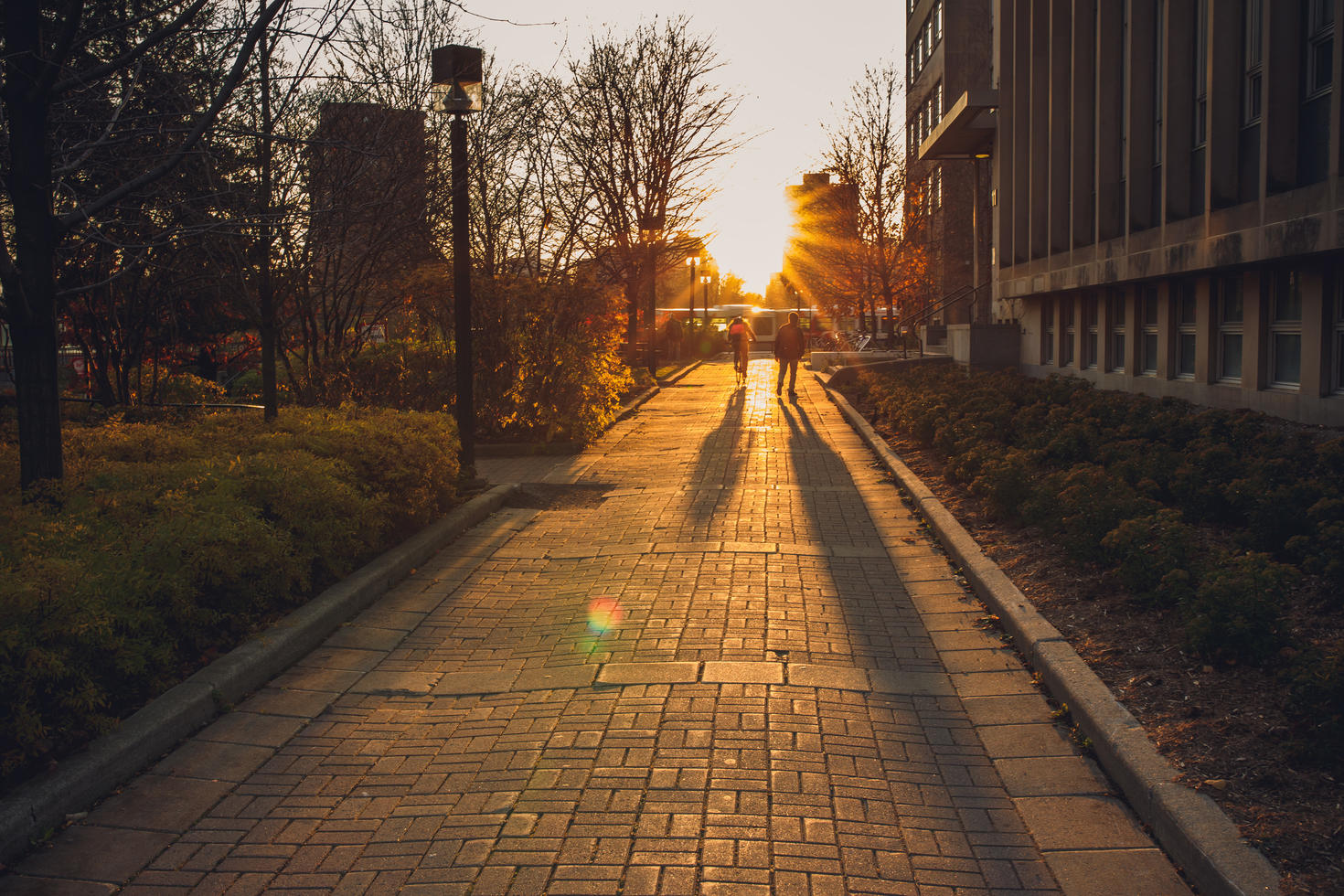 promenades en pleine conscience