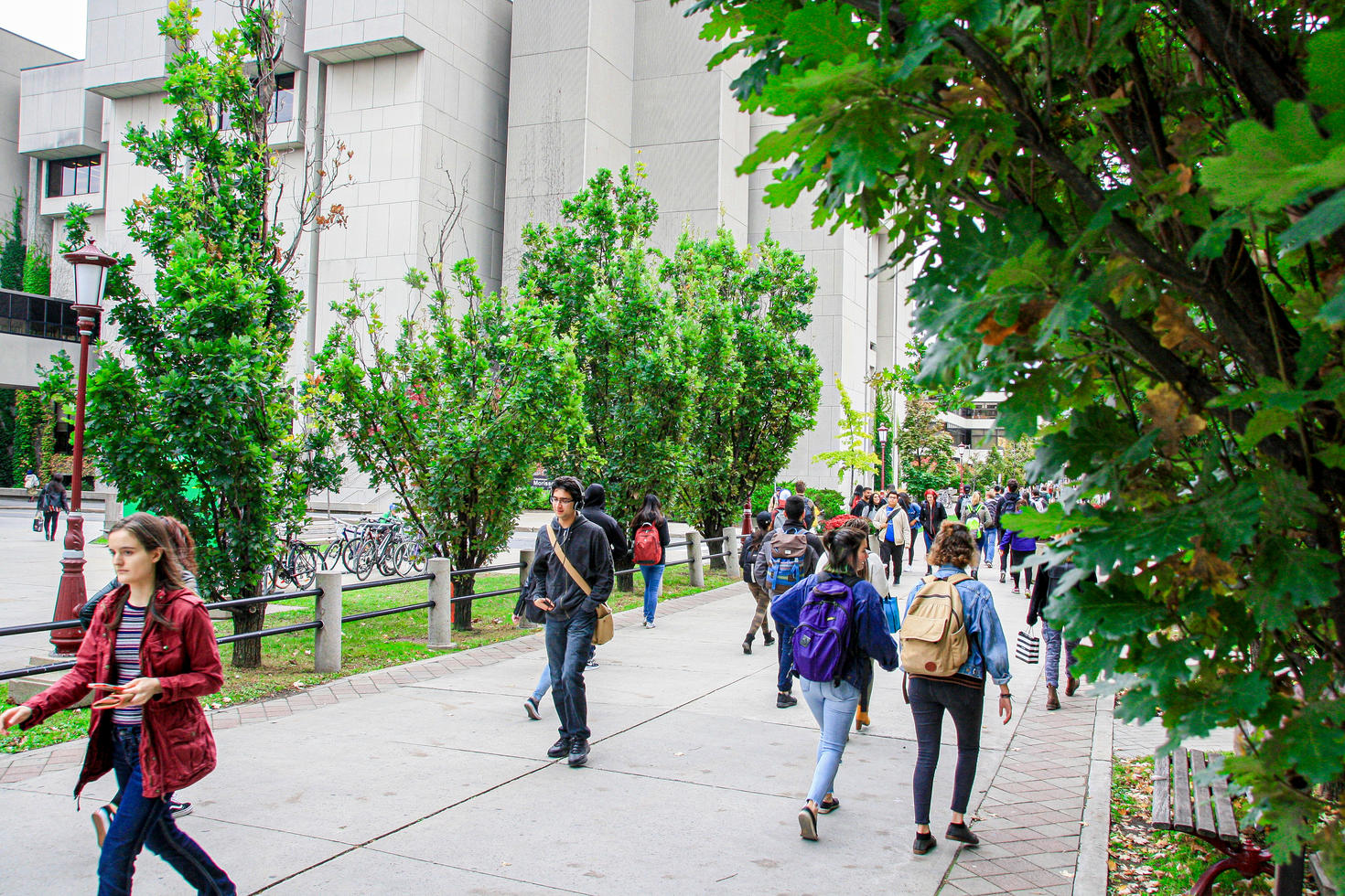 Étudiantes et étudiants déambulant sur le campus